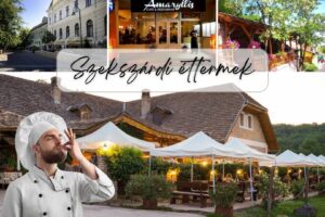 Read more about the article Éttermek szekszárdon