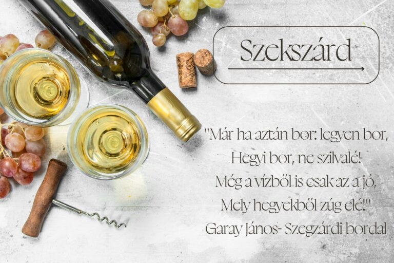 Read more about the article Bortúra